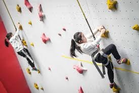 博彩与公共政策（公共政策视角下的博彩）